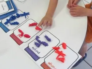 Counting and Sorting Bugs