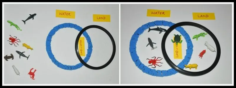 math facts - venn diagram