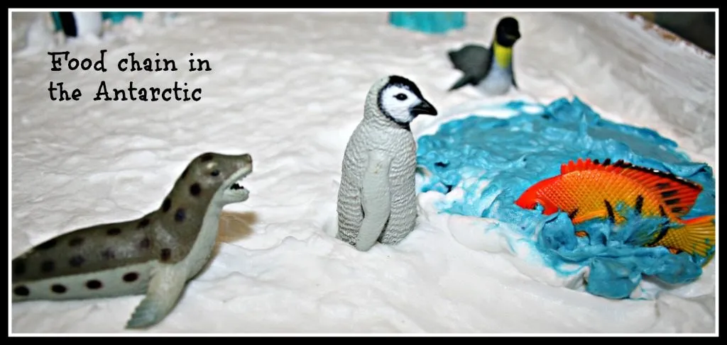 Antarctica Small World with Soap "Ice"