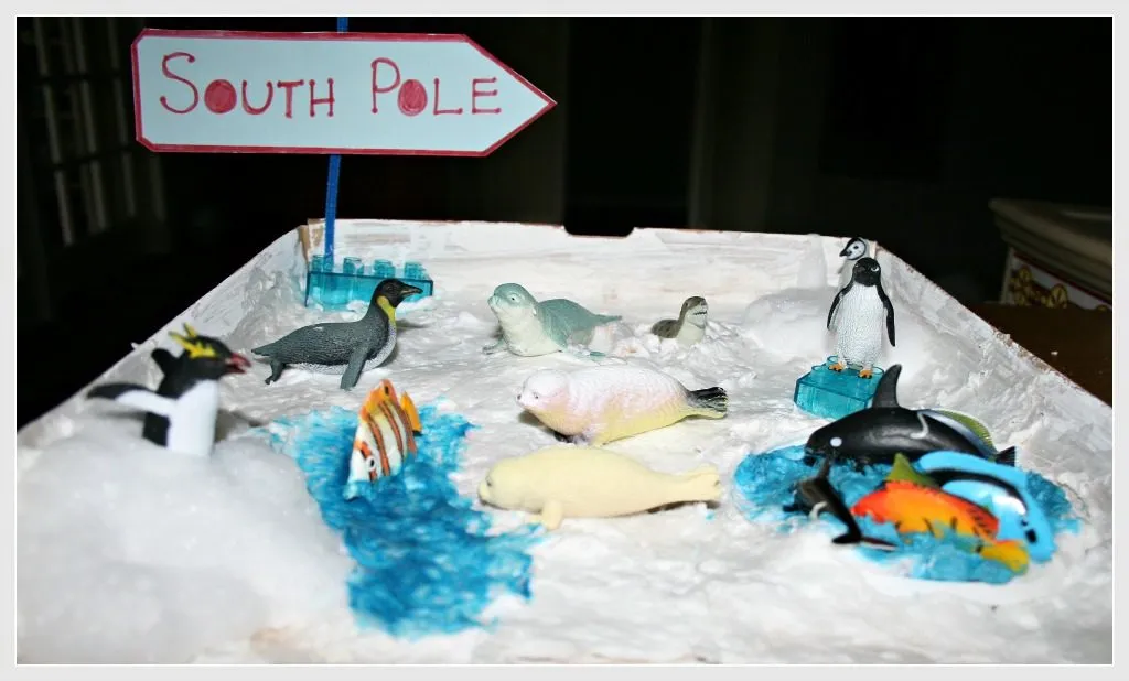 Antarctica Small World with Soap "Ice"