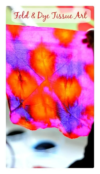 Fold and Dye Art Project
