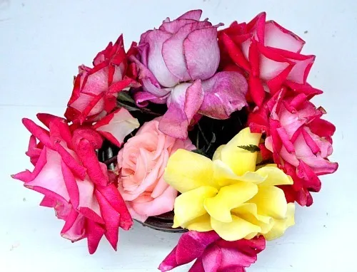 flowers