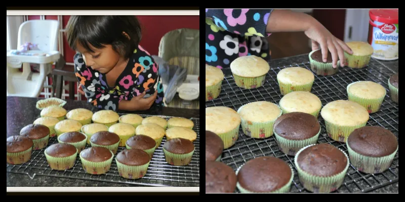 Birthday Cupcakes