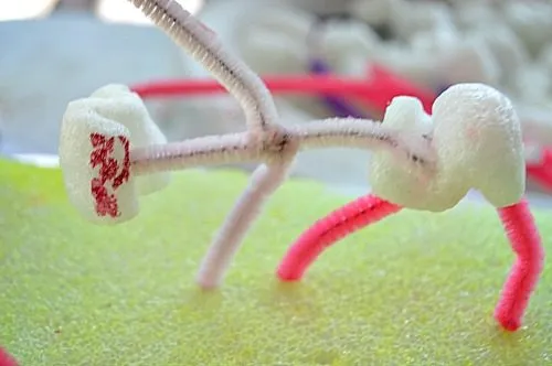 building a girl with pipe cleaners