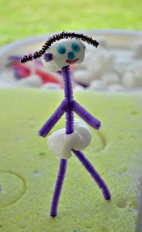 pipe cleaner crafts