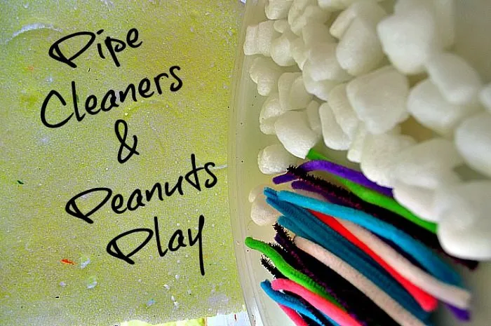 Building with Pipe Cleaners