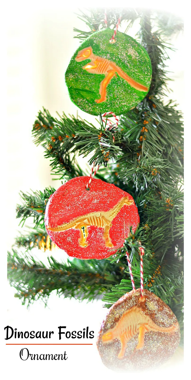 dinosaur fossils ornament craft