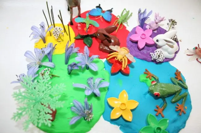 Colorful garden