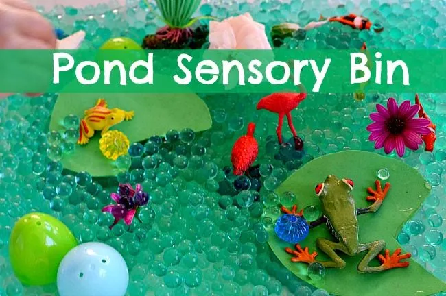 SENSORY ACTIVITIES WITH POND