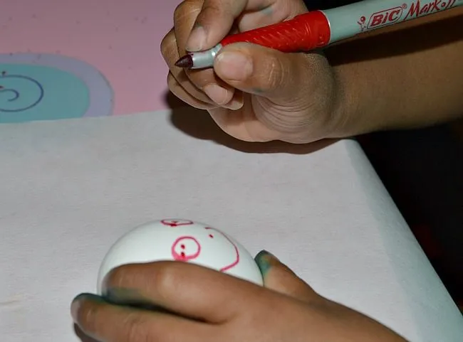 writing on shells