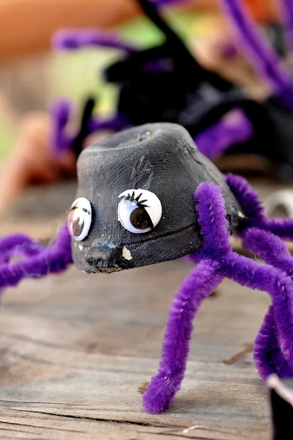 spider