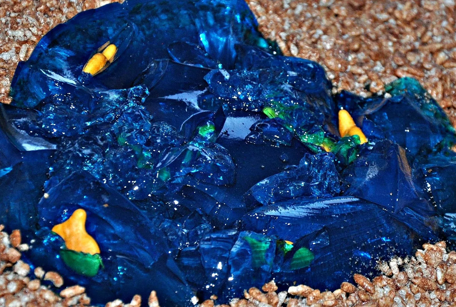 Edible Zoo