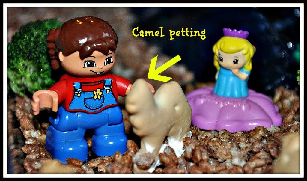 Edible Zoo