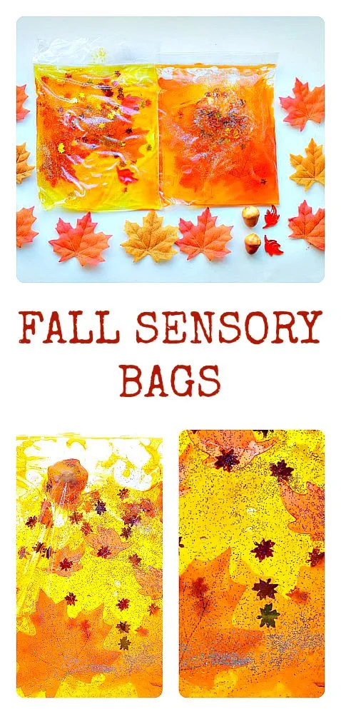 fall-sensory-bags-for-kids