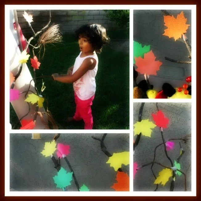 Fall Tree from a Branch
