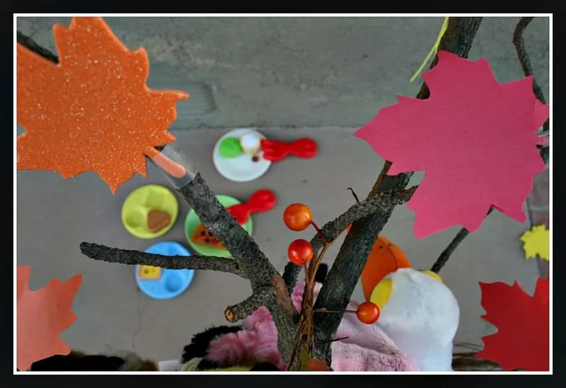 Fall Tree from a Branch
