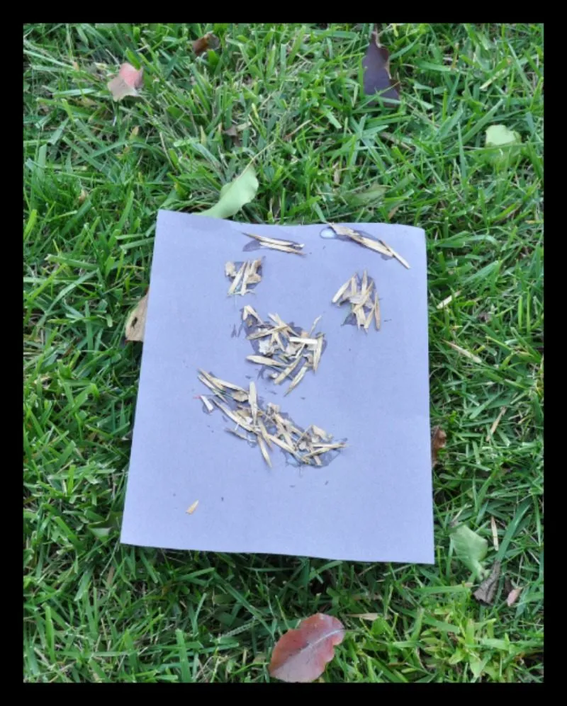 Leaves as Glitter Fall Art