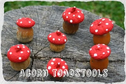 Acorn Toadstool