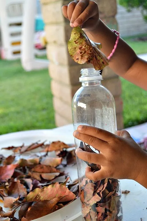 dried fall leaves in water bottles