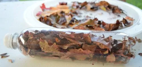 fall crafts using recycle materials