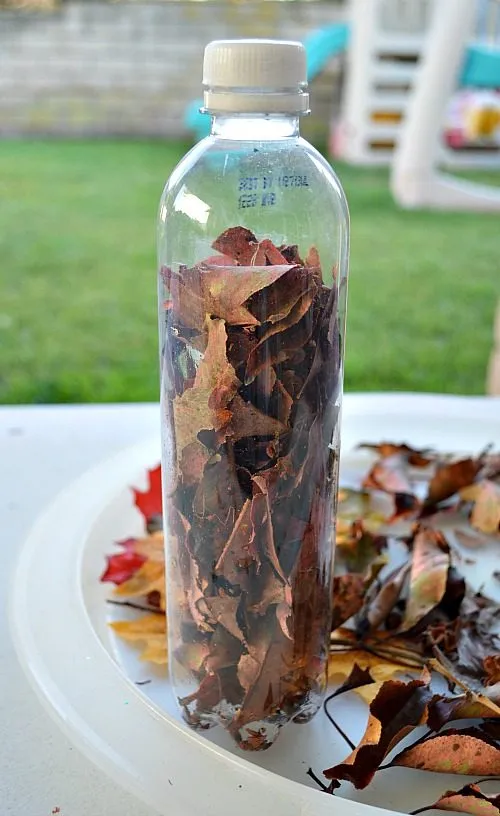 fall crafts s using dried fall leaves