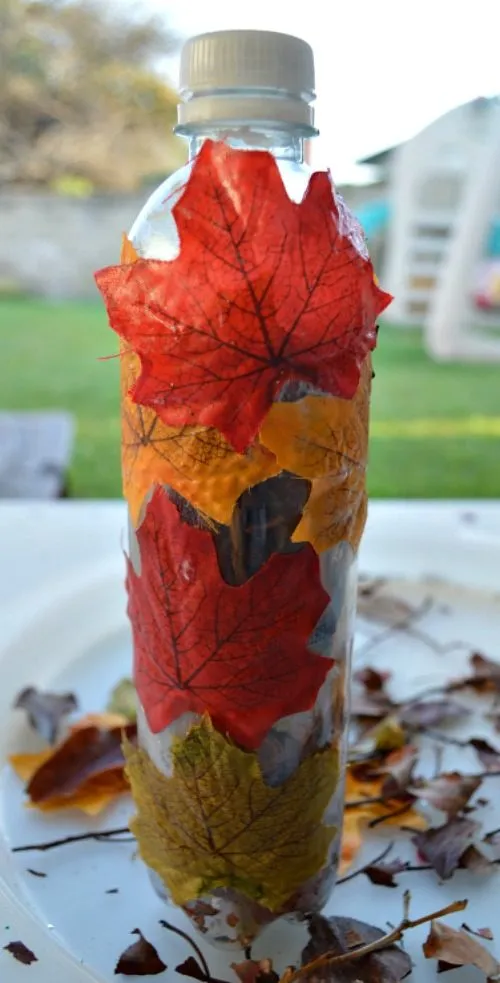 fall crafts maracas