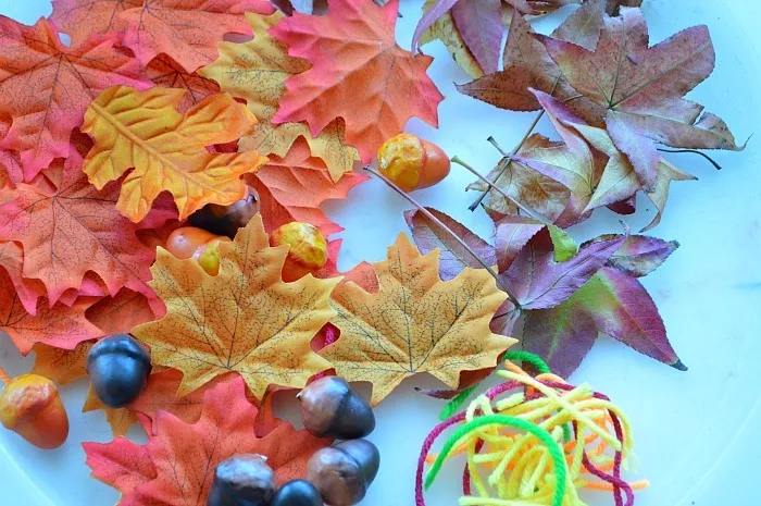 leaves