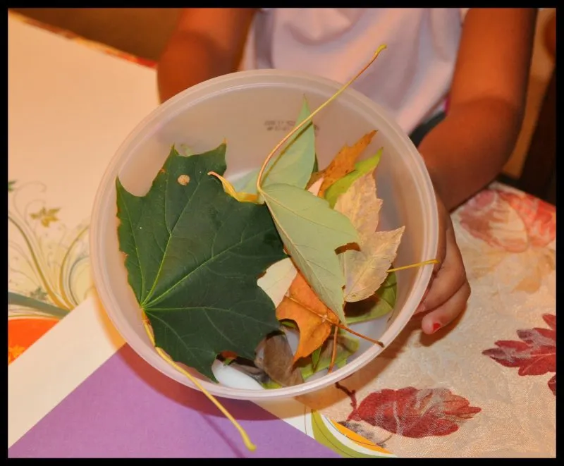 Fall Decor with Leaves