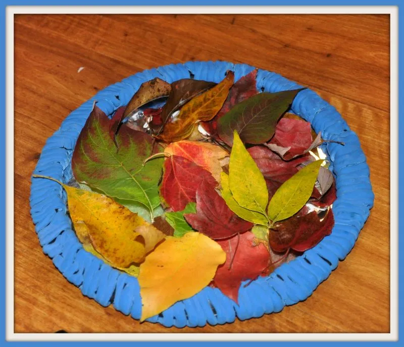 Fall Decor with Leaves