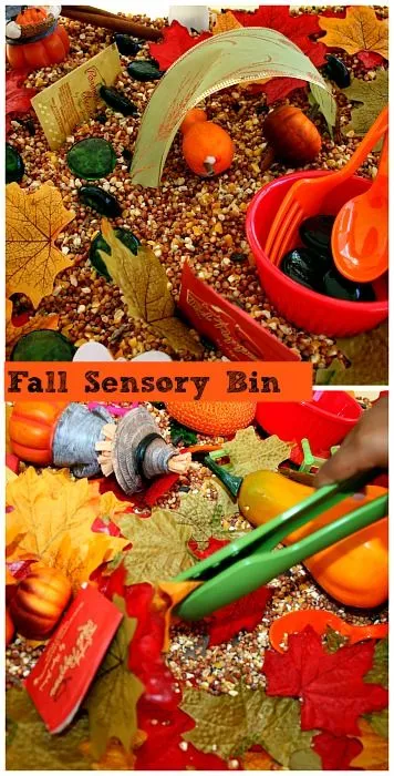 fall-bin