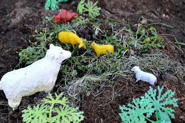animals on the farm