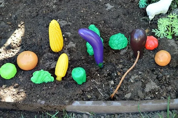 vegetables