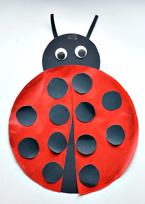 sticky lady bug on the window