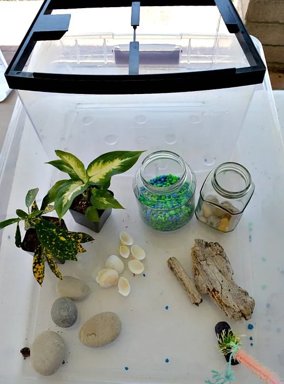 gardening with kids