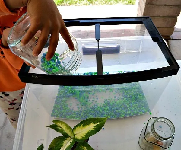 pouring gravel inside terrararium
