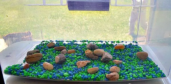 gravel inside the terrararium