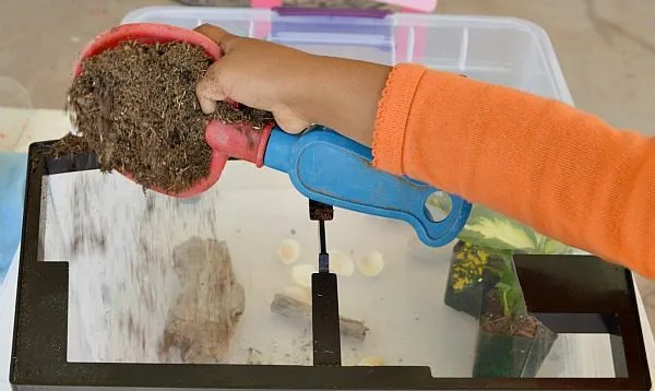 nature activities with kids for gardening