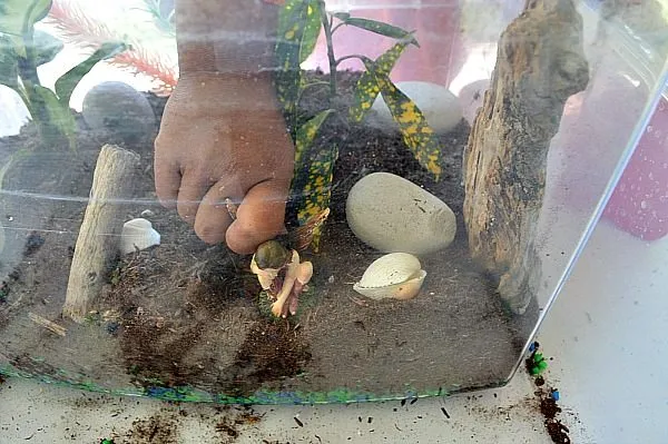 fairy garden with gardening
