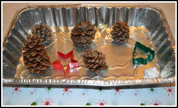 pine cones