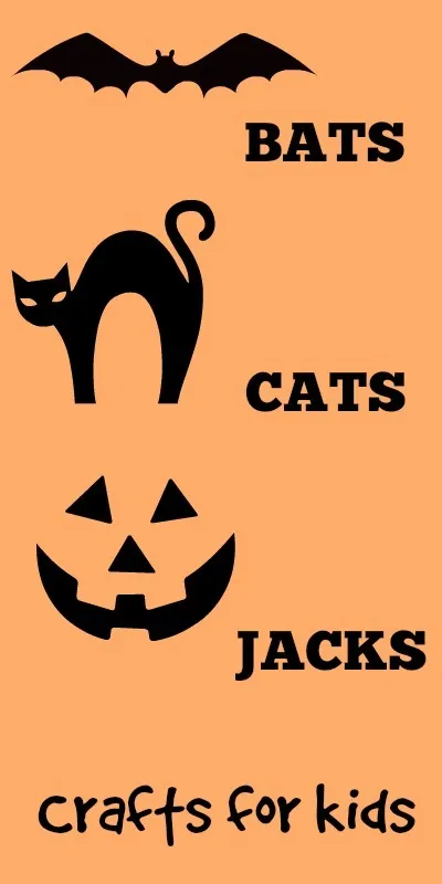 bat-cats-round-up