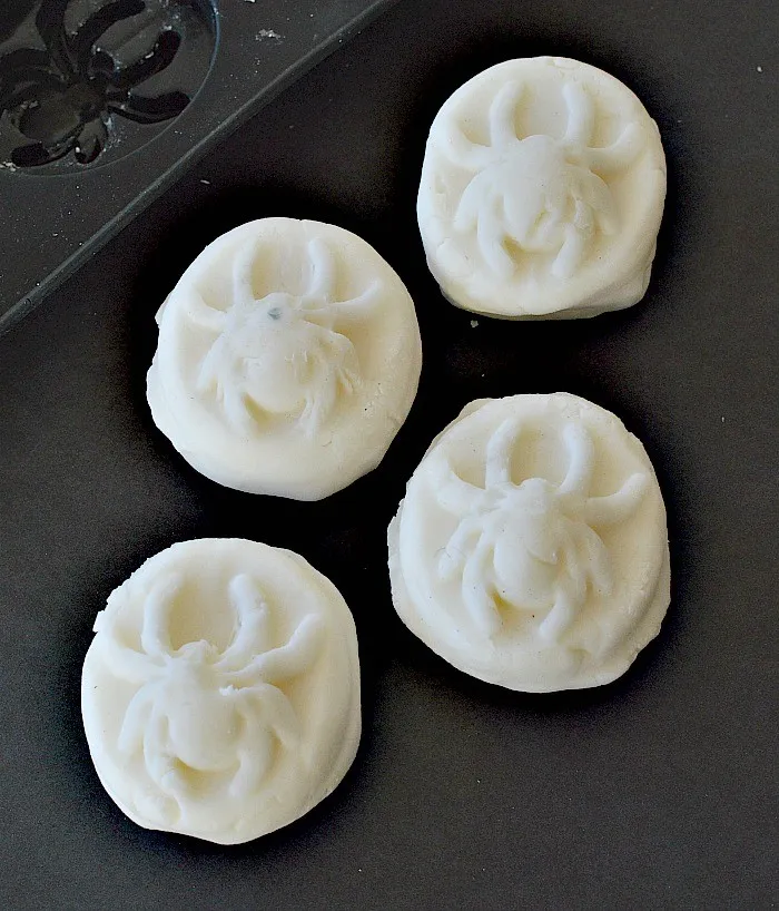 spider-prints-on-clay