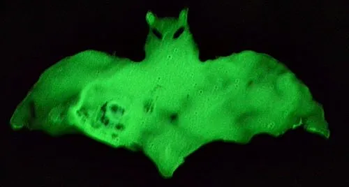 glow bat