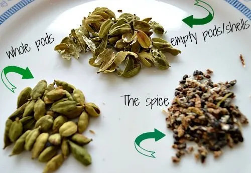 cardamom spices