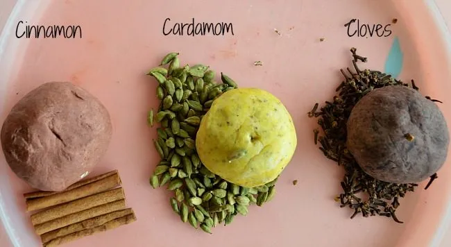 all spices fall playdough
