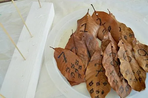 leaf activities materials