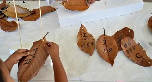 math activities with leaves