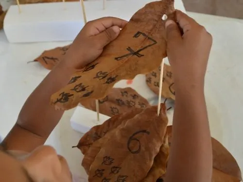 toddler number recognition with leaves