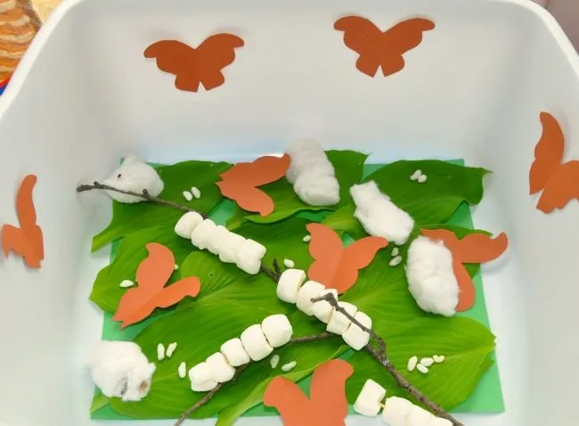 sensory activities