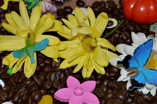 kevin henkes my garden sensory bin