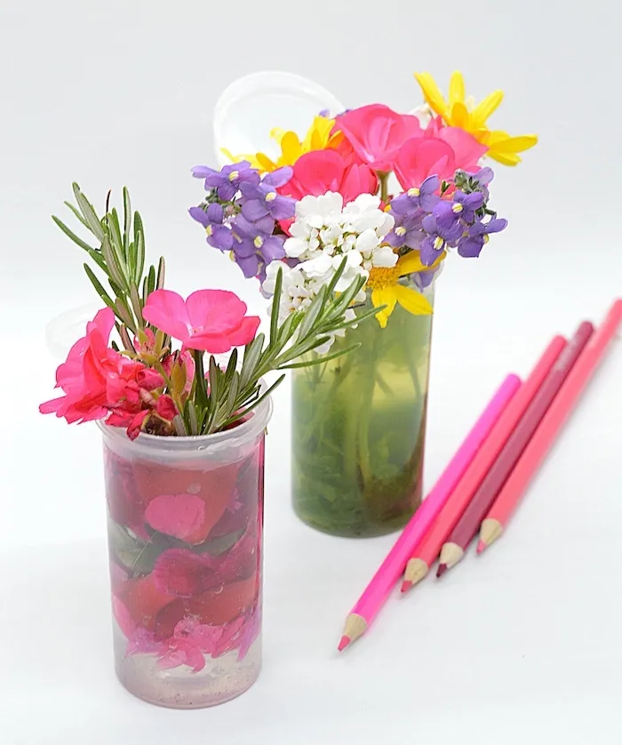pink purple flower vases